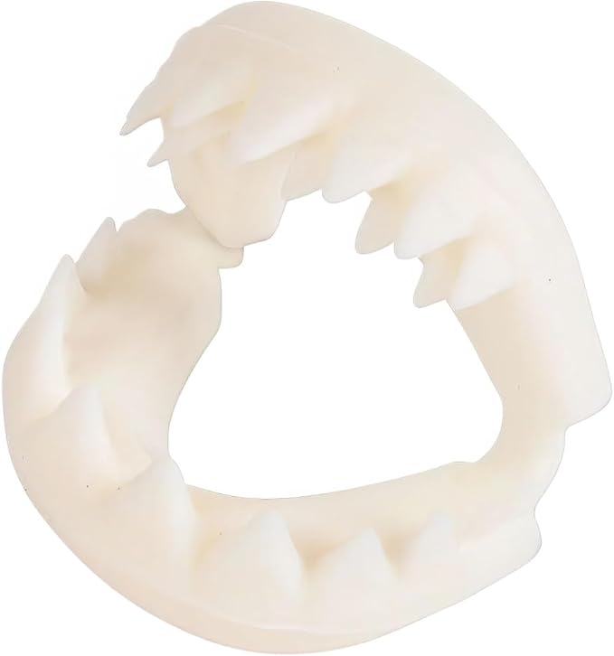 Rhode Island Novelty Great White Shark Teeth