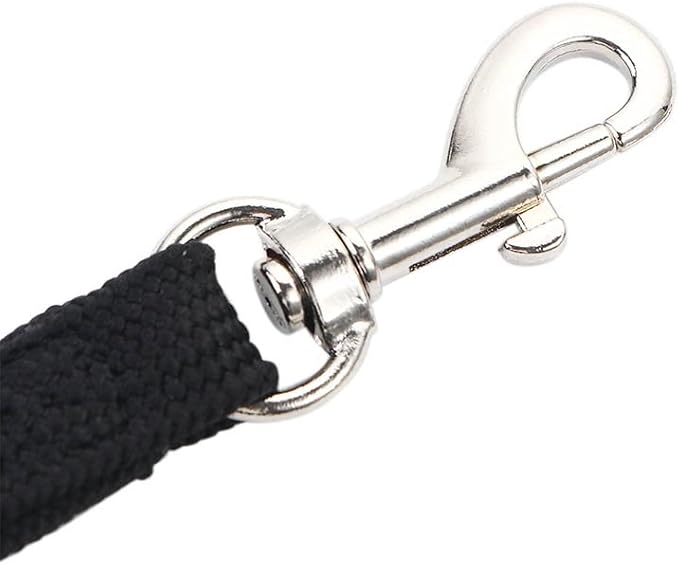 Dog Leash Nylon Pet Noose Loop Lock Clip Rope, Pet Dog Grooming Rope Adjustable Fixed Dog Cat Safety Rope for Pet Grooming Table Bathtub (Blue)