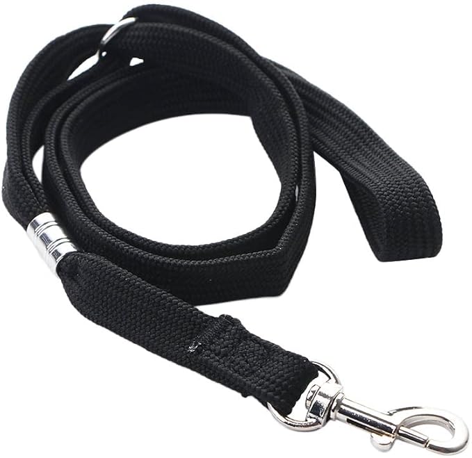 Dog Leash Nylon Pet Noose Loop Lock Clip Rope, Pet Dog Grooming Rope Adjustable Fixed Dog Cat Safety Rope for Pet Grooming Table Bathtub (Blue)