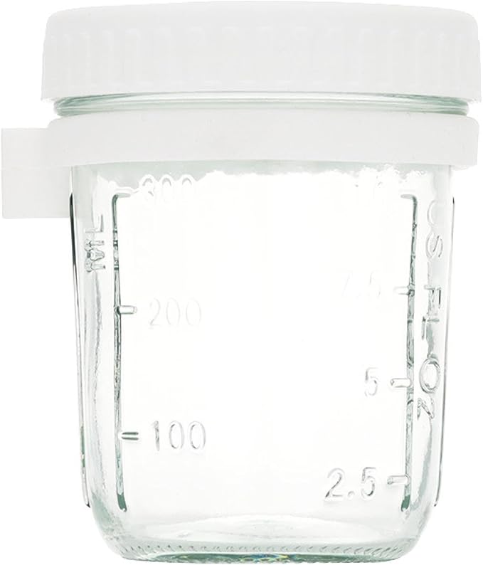 Oatmeal Mug Overnight Oatmeal Mug Breakfast Mug with Scoop Mason Mug Glass Salad jar Yogurt Mug with lid