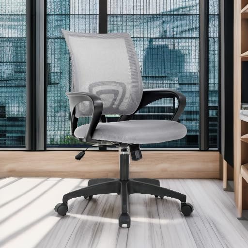 Office Chair Desk Chair Computer Chair Ergonomic Executive Swivel Rolling Chair with Lumbar Support Arms Adjustable Task Chair for Women Adults, Grey