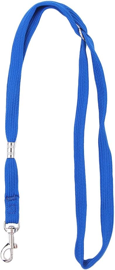 Dog Leash Nylon Pet Noose Loop Lock Clip Rope, Pet Dog Grooming Rope Adjustable Fixed Dog Cat Safety Rope for Pet Grooming Table Bathtub (Blue)