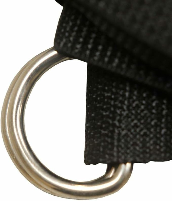 TentandTable 8' Ground Tie Down Strap with D Ring, 2 Pack
