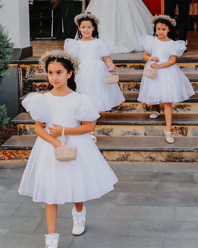 2Bunnies Girl Baby Toddler Puff Sleeve Organza Tulle Tutu Twirly Babydoll Flare Ball Gown Princess Flower Girl Dress