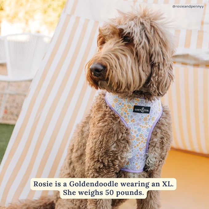 Lucy & Co. Reversible Dog Harness - Water-Repellent Neoprene, Dual-Print Design, Easy Swap Style, Adjustable Comfort Fit - Among Wildflowers Reversible Harness - Medium