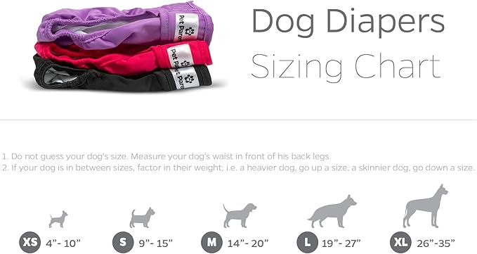 Pet Parents Washable Dog Diapers (3pack) Extendrs of Durable Doggie Diapers, Premium Dog Diapers Female (Large, Princess)