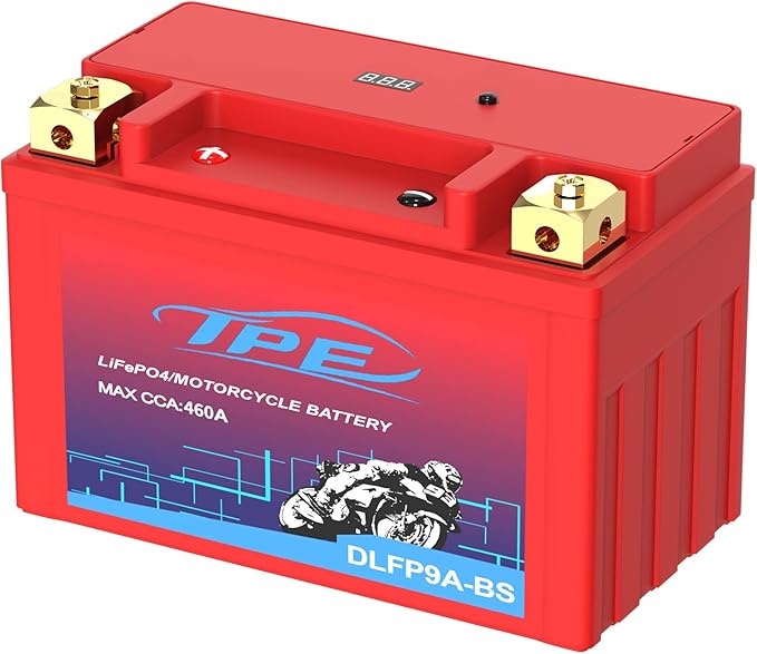 Lithium Motorcycle Battery, YTX9A-BS 12V Lithium Battery with Smart Battery Management System, LiFePO4 Engine Start Battery 4AH 460 CCA Starting Batteries for Motorcycles and ATVs-DLFP9A-BS