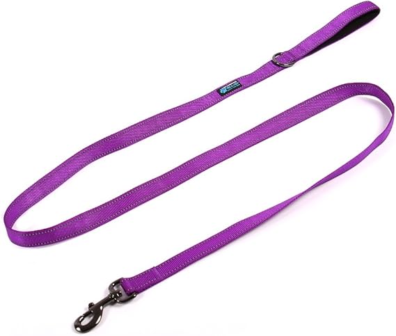 Max and Neo Reflective Nylon Dog Leash - We Donate a Leash to a Dog Rescue for Every Leash Sold (Purple, 6x1)