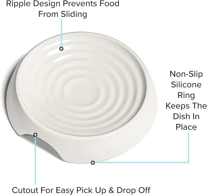 CatGuru Cat Bowls, Whisker Friendly Cat Food Bowl for Indoor Cats, Reliefs Whisker Fatigue, Wide Pet Bowl, Non Slip Pet Feeding Bowls, Shallow Kitten Dish (Set of 2, Ceramic, White)