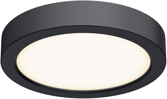 DALS Lighting 6 Inch Round IndoorOutdoor LED Ceiling Flush Mount (Black)
