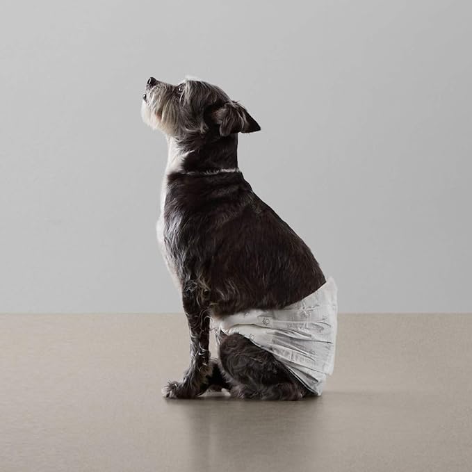 Basics Male Dog Wrap, Disposable Male Dog Diapers, Small, Pack of 30, White