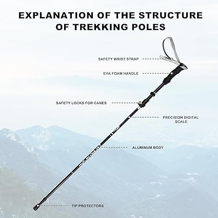 Nordic Hiking Pole - Collapsible, Lightweight 7075 Aluminum Walking Stick for Seniors, Men, and Women