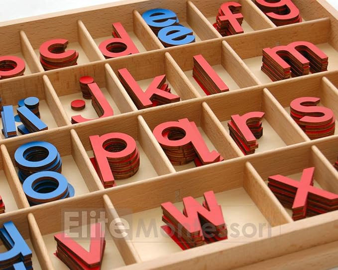 Elite Montessori Wooden Movable Alphabet with Box Preschool Spelling Learning Materials (Red Blue, 5mm Thick)