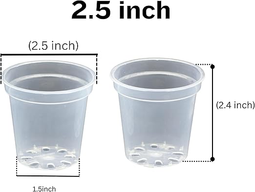 Clear Nursery Pots - 2.5 Inches (Pack of 40) | Nursery Pots | Clear Propagation Pots | Garden Pots | Clear Sturdy Pots | Transparent Pots