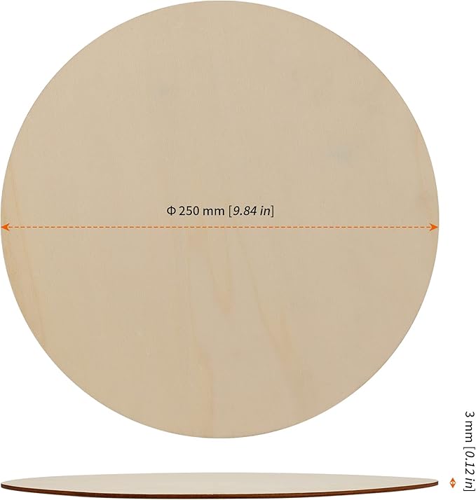 HOZEON 30 PCS 10 Inch Wood Circles for Crafts, Round Wood Discs, Unfinished Blank Wood Slices Wooden Cutouts for Door Hangers, Home Decorations, Art and Craft, Christmas Gifts