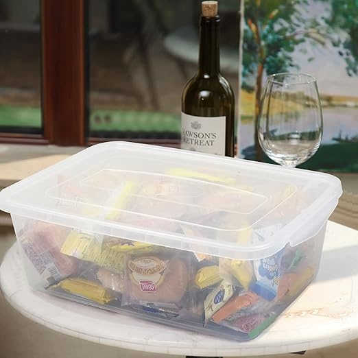 Morcte 4-Pack 14 L Basic Clear Plastic Storage Box with Clear Lid, Clear Storage Bin