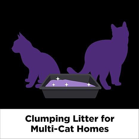 ARM HAMMER SLIDE Platinum Multi-Cat Easy Clean-Up Clumping Cat Litter, 14 Days of Odor Control 18 lb