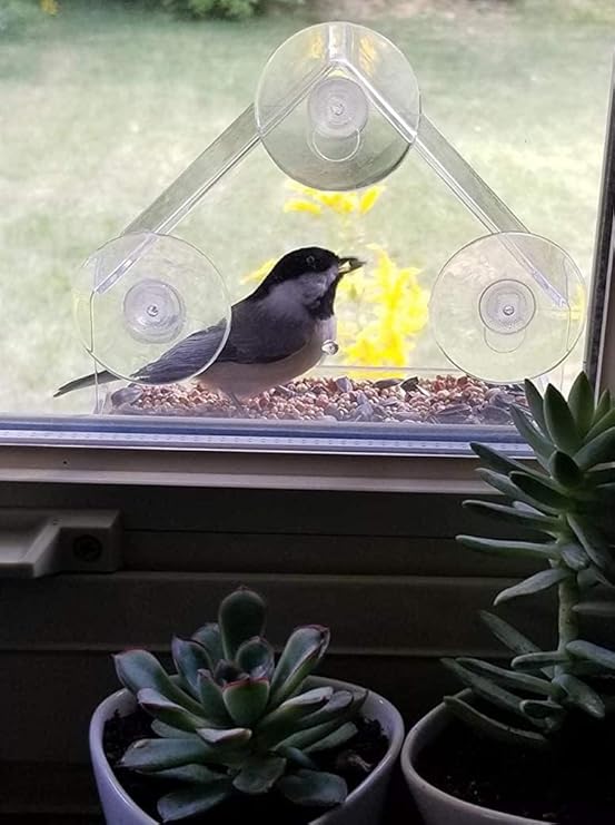 Window Bird House Feeder with Extra Strong Suction Cups Clear Bird Seed Holder for Outside Birdhouse Shape WMBF0001