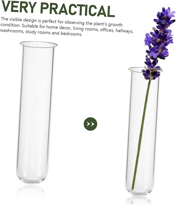 Glass Test Tube Vase for Plant Propagation 5 Pack Water Tube for Flowers Elegant Home Decor for Office Dinner Parties