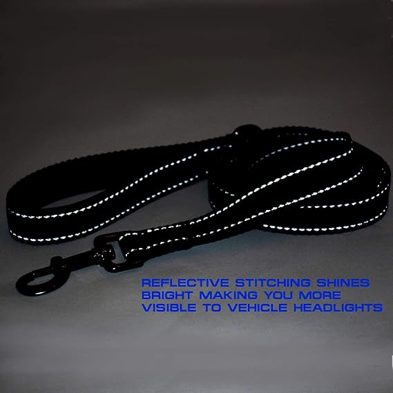Max and Neo Reflective Nylon Dog Leash - We Donate a Leash to a Dog Rescue for Every Leash Sold (Purple, 6x1)