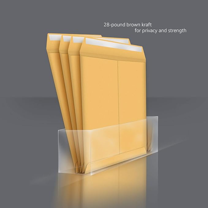Basics Catalog Mailing Envelopes, Peel and Seal, 10x13 Inch, Brown Kraft, 100-Pack