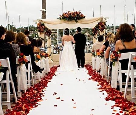 SIWEN Artificial Rose Flower Petals for Valentine's DayWeddingsProposalAnniversaryEngagementParty and Romantic Night Decoration (1000, red)