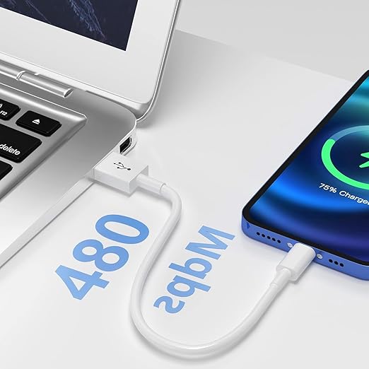 Short Apple iPhone 1516 CarPlay Cable - USB A to USB C Car Charger Wire for iPhone 1516 Series, iPad Pro, Air, 10th Gen Charging Cord (1 Ft)
