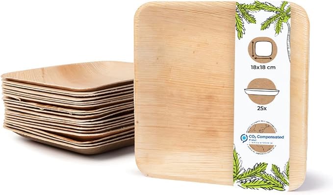 BIOZOYG Disposable Plates 200 Pack 6 Inch Square Palm Leaf Plates - Tableware Compostable Disposable - Alternative to Bamboo Plates - Party Tableware