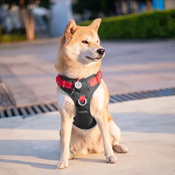 PHOEPET No Pull Dog Harness, Unique Colors Reflective Adjustable Dog Vest, with Soft Training Handle Metal Clips for Small Medium Large Dogs (Black Base Red Straps,L)