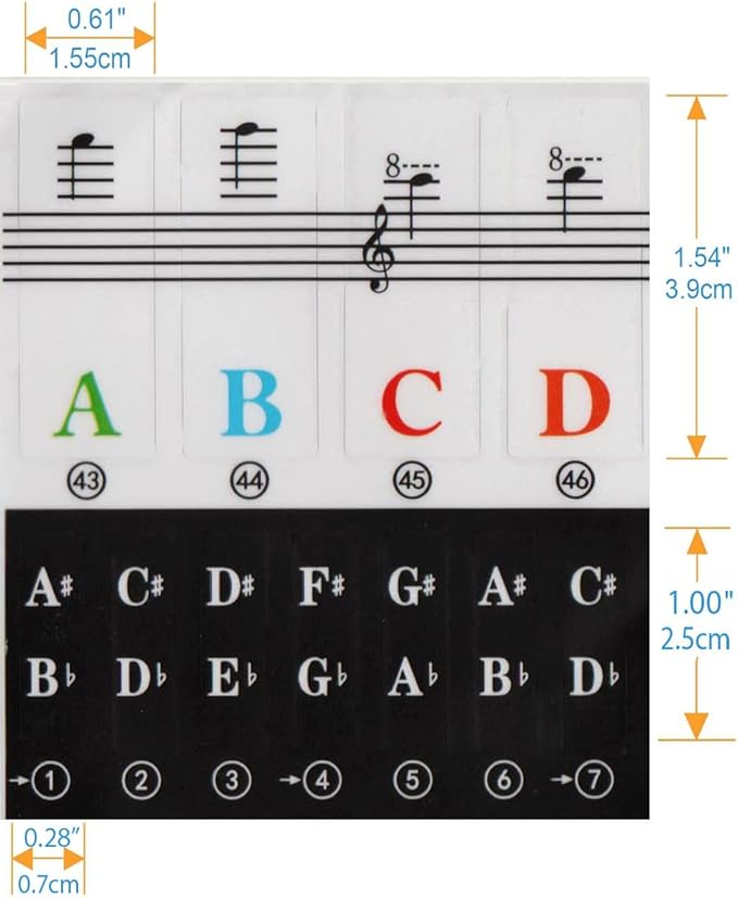 Piano Keyboard Sticker Label Large Note for Electronic Keyboards or Piano Beginners Easy Learning Tool 3749617688 Key Piano