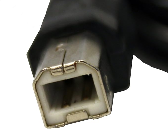 USB 2.0 Cable - Male A to Male B - for Printers, Cameras, and More - by Mars Devices