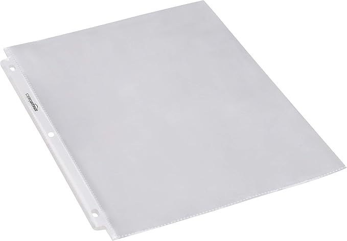 Basics Sheet Protector, Heavy Duty, 500 Pack, Clear