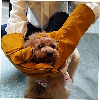 1PCS Gloves Protective Glove Bird Training Gloves Cat Handling Gloves Bird Gloves Bite Proof Animal Handling Gloves leather Parrot cat gloves