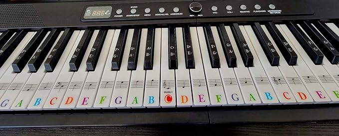 Piano Keyboard Sticker Label Large Note for Electronic Keyboards or Piano Beginners Easy Learning Tool 3749617688 Key Piano