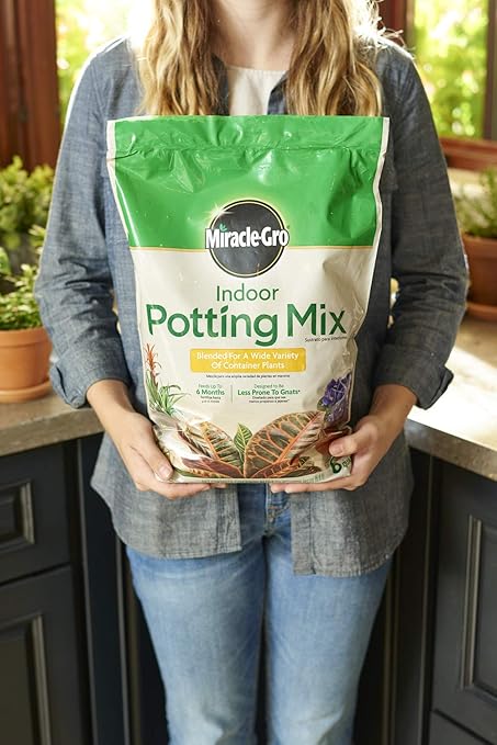 Miracle-Gro Indoor Potting Mix, Blended for a Variety of Houseplants, Feeds for up to 6 Months, 6 qt.