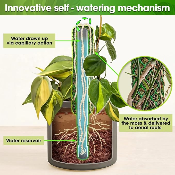 DUSPRO Self-Watering Natural Green Forest Moss Pole, Easy to Use Moss Sticks for Indoor Plants, Climbing Plant Support Stake with Self-Watering Feature, Moss Pole Monstera Plant Support 2pcs 17''