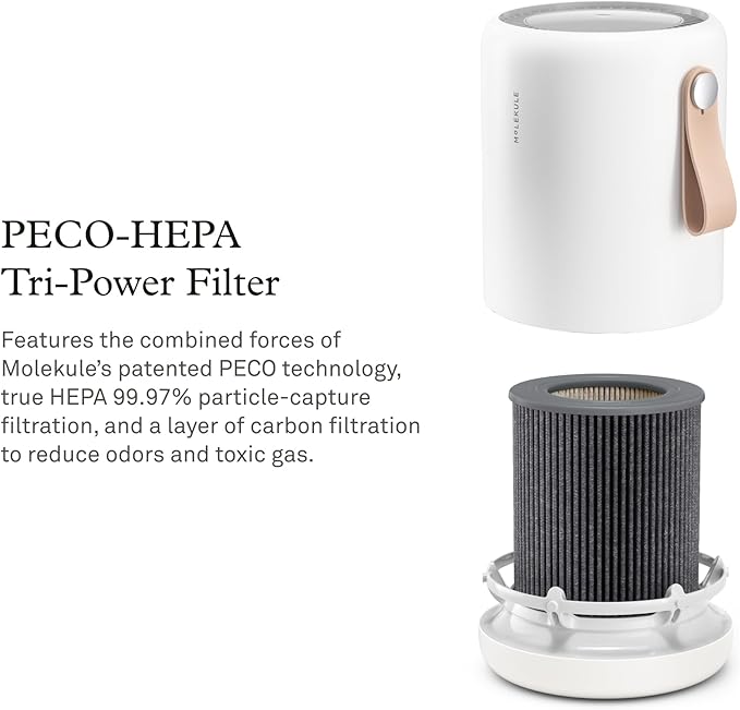 Molekule PECO-HEPA Tri-Power Filter Air Mini and Air Mini Air Purifier Replacement Filters for Allergens, Smoke, Mold, Bacteria, Viruses Other Pollutants for Clean Air - Gray