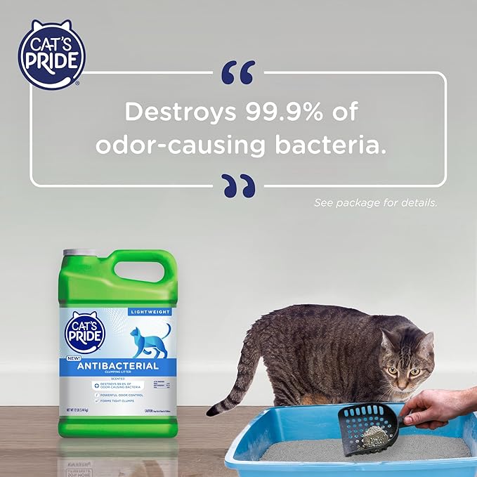Cat's Pride New Antibacterial Cat Litter: Destroys 99.9% of Odor-Causing Bacteria - Powerful Odor Control - Premium Lightweight Clumping Litter - Scented, 12 Pounds