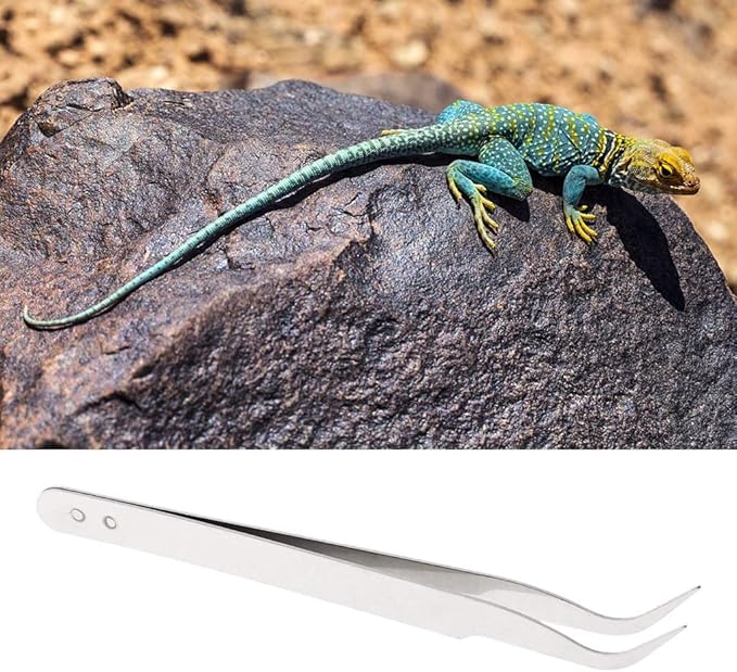 Feeding Tweezers with Long Handle for Pet Bird Stainless Feeder Tweezer