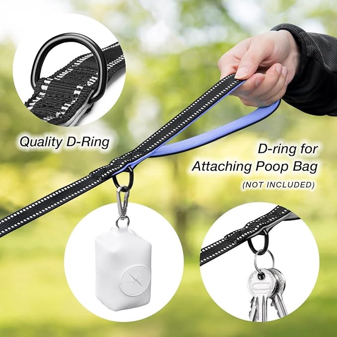 PHOEPET 5 Feet Dog Leash - Dual-Side Reflective - Soft Padded Handle - Fit for Walking, Training or Exploring Hiking, Camping (Baby Blue)
