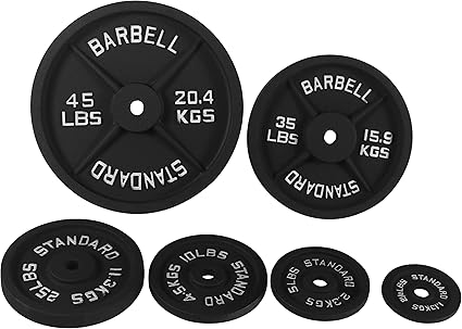Cast Iron Plate Weight Plate for Strength Training and Weightlifting, 1-Inch Center (Standard), 10LB (Single)