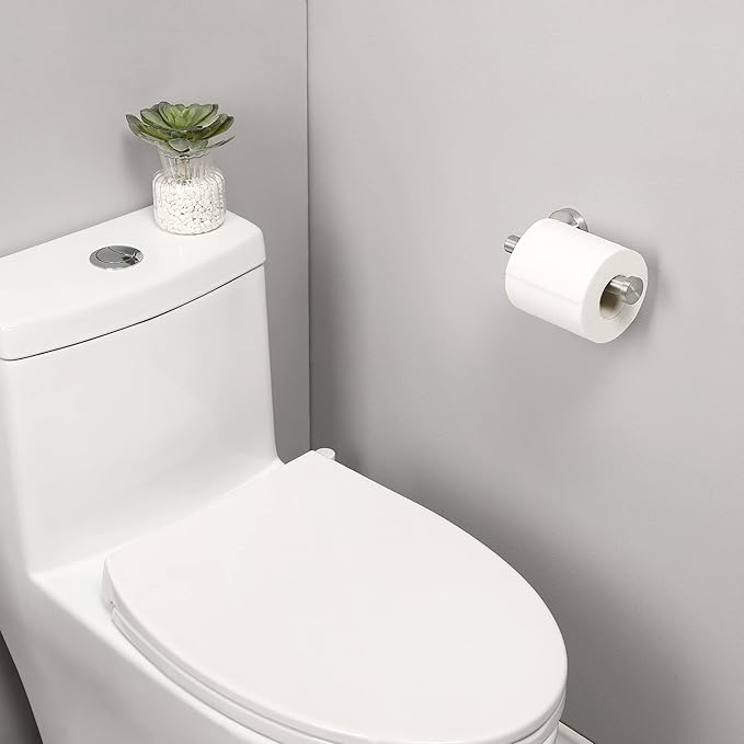 KES Toilet Paper Holder SUS304 Stainless Steel Wall Mount Screw Mounted Brushed, A2175S12-2