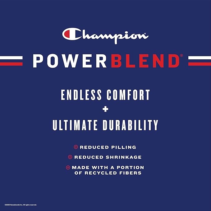 Champion Men's Fleece Script Logo Hoodie (Reg. Or Big & Tall)