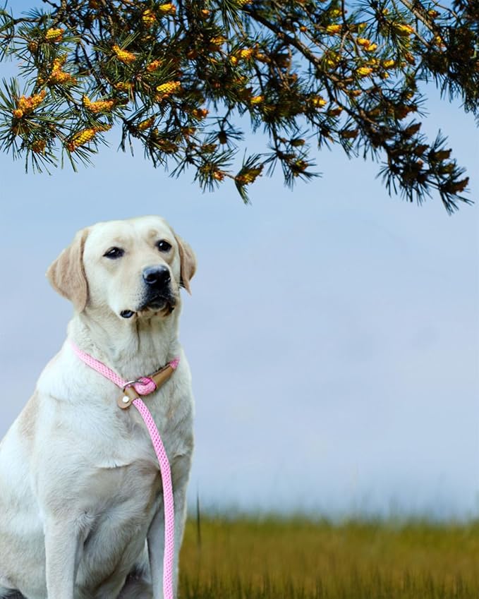 lynxking Slip Lead Dog Leash, 6 FT x 12" Heavy Duty Dog Loop Leashes, Comfortable Strong Rope Slip Leash for Dogs