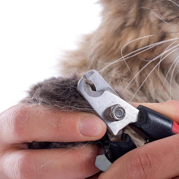 Windswept Products - Dog Nail Clipper, Pet Nail Clippers, Nail Clippers & Nails for Small, Medium & Large Dogs
