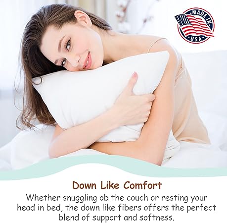 Pillowflex Synthetic Down Pillow Insert - 27x27 Down Alternative Pillow, Ultra Soft Large Square European Throw Pillow, Couch Euro Sham, Bed - 1 Decorative Form