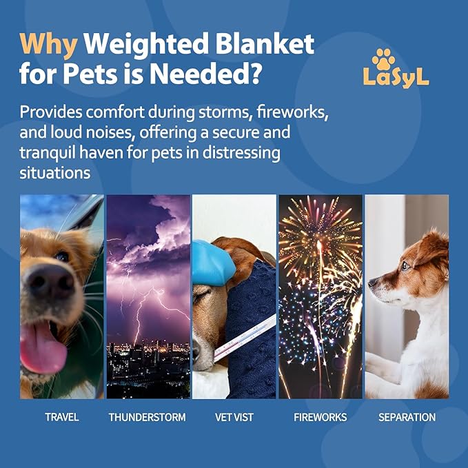 LaSyL Weighted Blanket for Pets Thunder Blanket for Dogs Anxiety Premium Soft Minky Relaxation Calming Anti Anxiety Blue Grey Star, Washable Small 24" L x 32" W