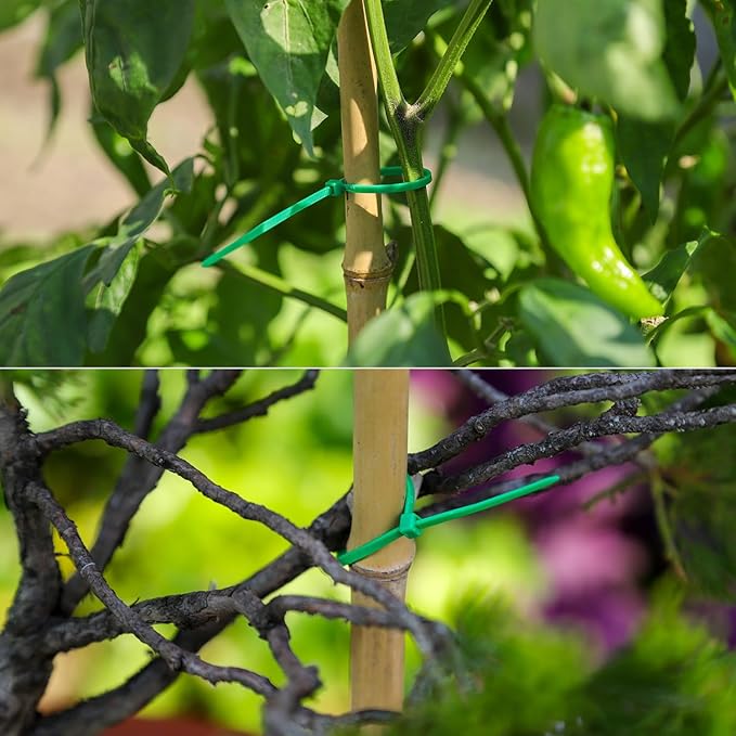 6 inch Green Zip Ties, Nylon Garden Cable Zip Ties Self Locking Cable Ties Twist Ties, Multi-Purpose Cable Tie (100 Pcs)