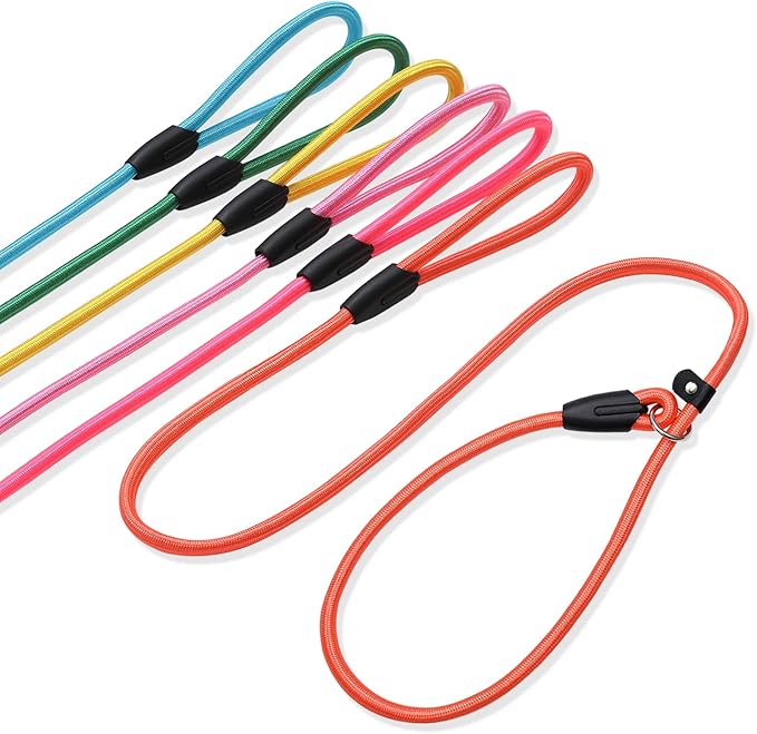 6 - Piece Set! Premium No - Pull Slip Lead Dog Leashes - 5FT Heavy - Duty Rope for Small Medium Dogs in a Vibrant 6 - Color Collection