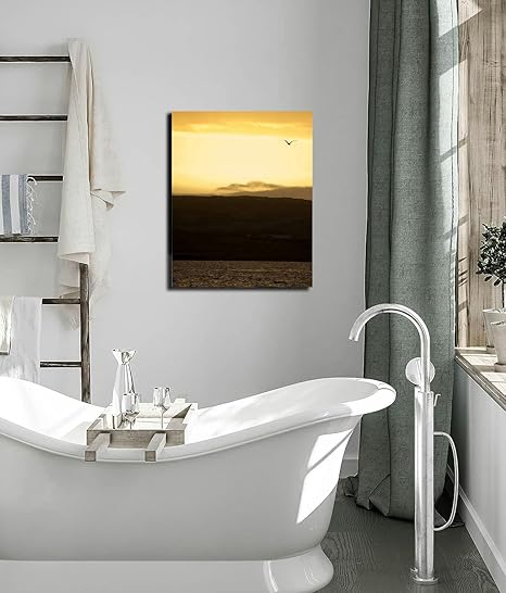 Bathroom Wall Art Decor Bathroom Pictures for Wall Artwork Bird the sky Framed Canvas Wall Art for Bedroom Dining Room Farmhouse 16"x20"